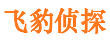 新兴寻人公司